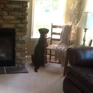 Meet your Posher, Sue